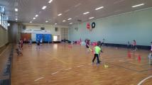 ag_floorball.jpg