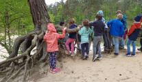 foerstertour_1.jpg