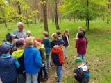 foerstertour_2.jpg