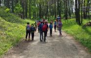 wandern_1.jpg